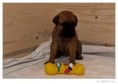 /album/fotogalerie/l1010781-raw-jpg/