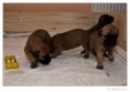 /album/fotogalerie/l1010775-raw-jpg/