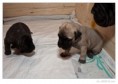 /album/fotogalerie/l1010770-raw-jpg/