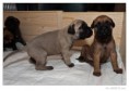 /album/fotogalerie/l1010765-raw-jpg/