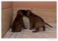 /album/fotogalerie/l1010762-raw-jpg/