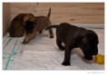 /album/fotogalerie/l1010761-raw-jpg/